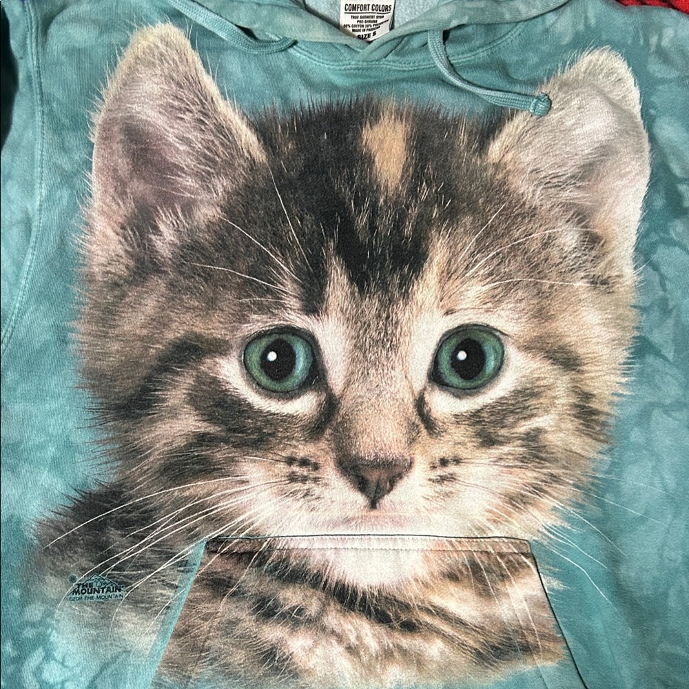 2011 | THE MOUNTAIN Tie Dye Cat Graphic Hoodie - Picture 2 of 5